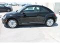 Black - Beetle 2.5L Photo No. 5