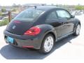 Black - Beetle 2.5L Photo No. 8
