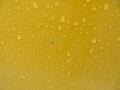Sun Fusion Yellow - FJ Cruiser 4WD Photo No. 17