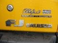 Sun Fusion Yellow - FJ Cruiser 4WD Photo No. 19