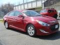 Venetian Red Pearl - Sonata Hybrid Photo No. 3