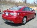 Venetian Red Pearl - Sonata Hybrid Photo No. 4