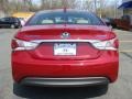 Venetian Red Pearl - Sonata Hybrid Photo No. 5
