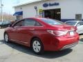 Venetian Red Pearl - Sonata Hybrid Photo No. 6