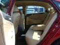 Venetian Red Pearl - Sonata Hybrid Photo No. 19