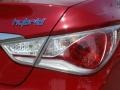 Venetian Red Pearl - Sonata Hybrid Photo No. 21