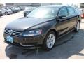 Black - Passat 2.5L SE Photo No. 3