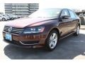 Opera Red Metallic - Passat 2.5L SE Photo No. 3