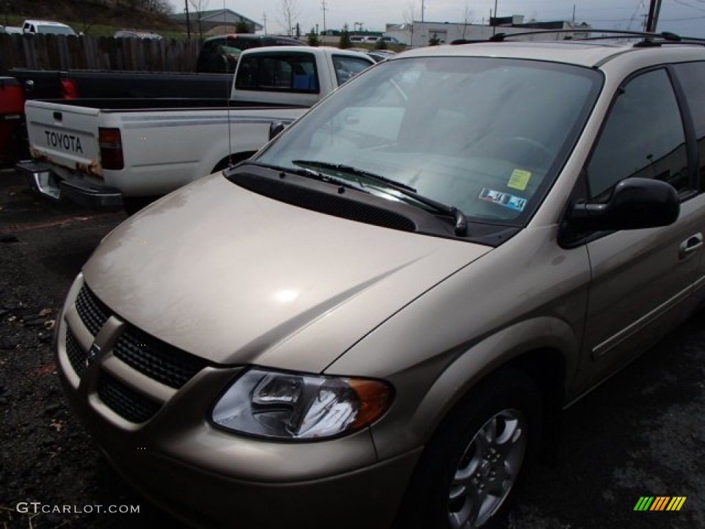 2004 Grand Caravan SXT - Light Almond Pearl Metallic / Khaki photo #2