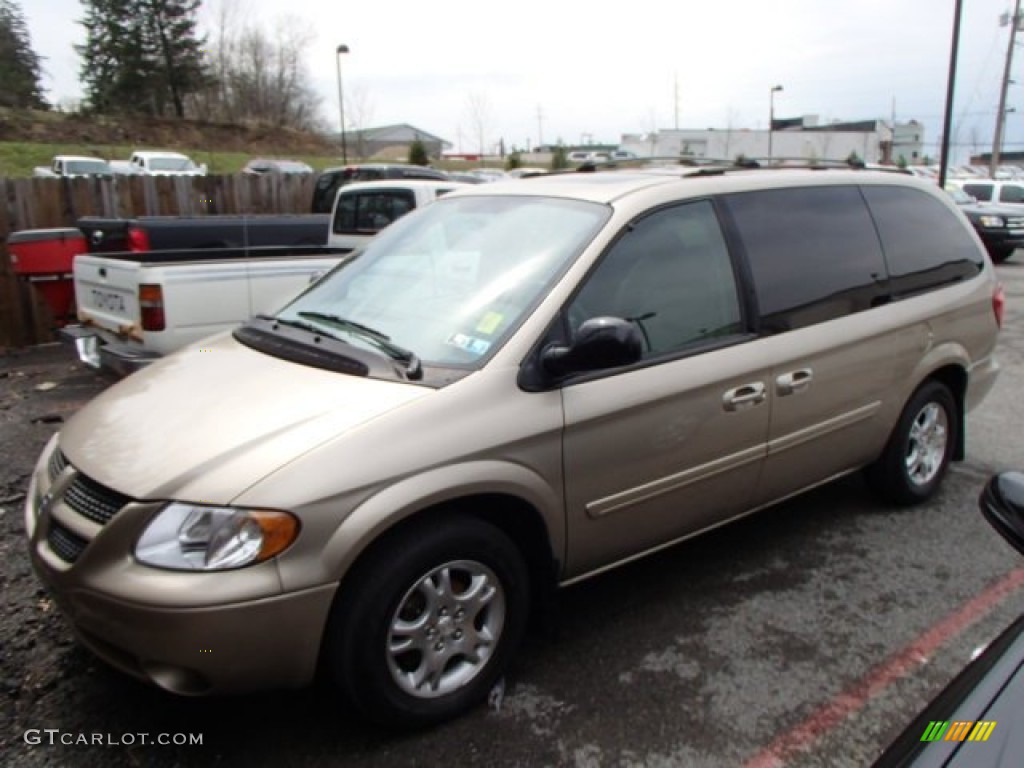 Light Almond Pearl Metallic 2004 Dodge Grand Caravan SXT Exterior Photo #79648746