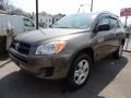 Pyrite Metallic - RAV4 I4 4WD Photo No. 1