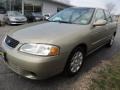 2002 Iced Cappuccino Nissan Sentra GXE  photo #3