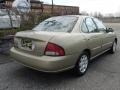 2002 Iced Cappuccino Nissan Sentra GXE  photo #4