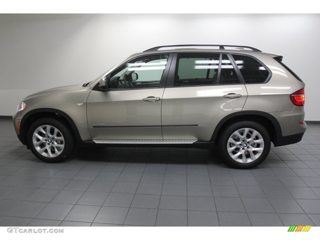 2012 X5 xDrive35i Premium - Platinum Bronze Metallic / Cinnamon Brown photo #2
