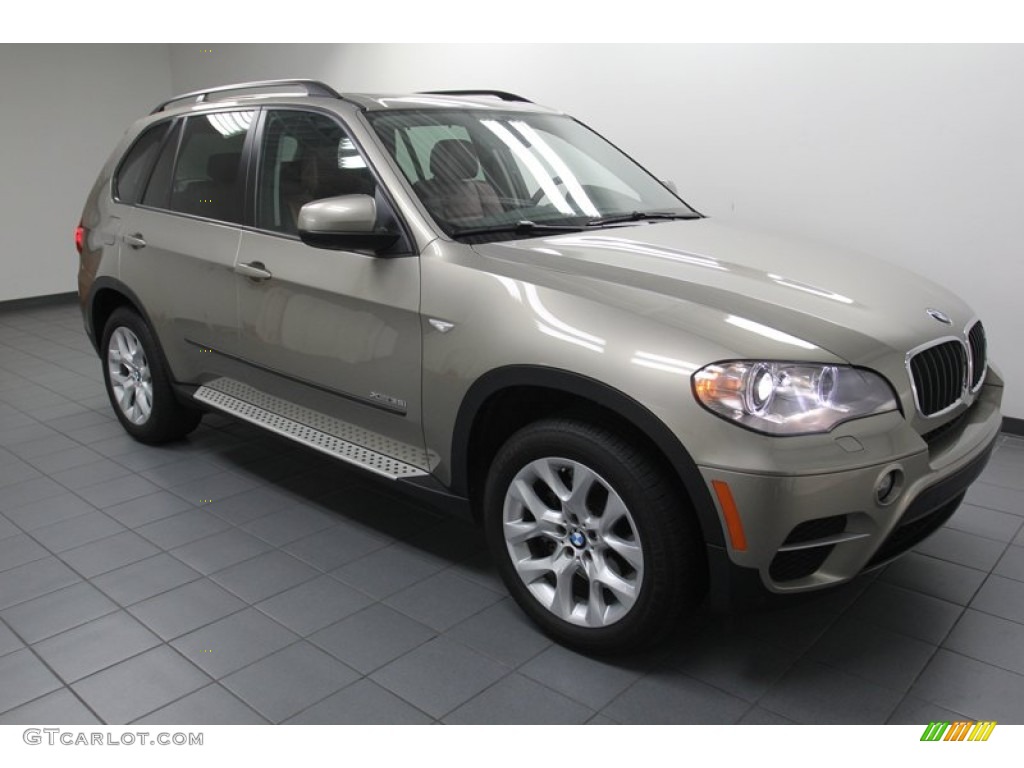 2012 X5 xDrive35i Premium - Platinum Bronze Metallic / Cinnamon Brown photo #8