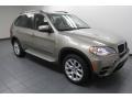 2012 Platinum Bronze Metallic BMW X5 xDrive35i Premium  photo #8