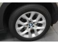 2012 Platinum Bronze Metallic BMW X5 xDrive35i Premium  photo #10