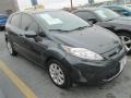 2011 Monterey Grey Metallic Ford Fiesta SE Hatchback  photo #1