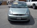 2004 Light Tundra Metallic Ford Focus ZTS Sedan  photo #2