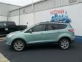 2013 Frosted Glass Metallic Ford Escape SE 1.6L EcoBoost  photo #3