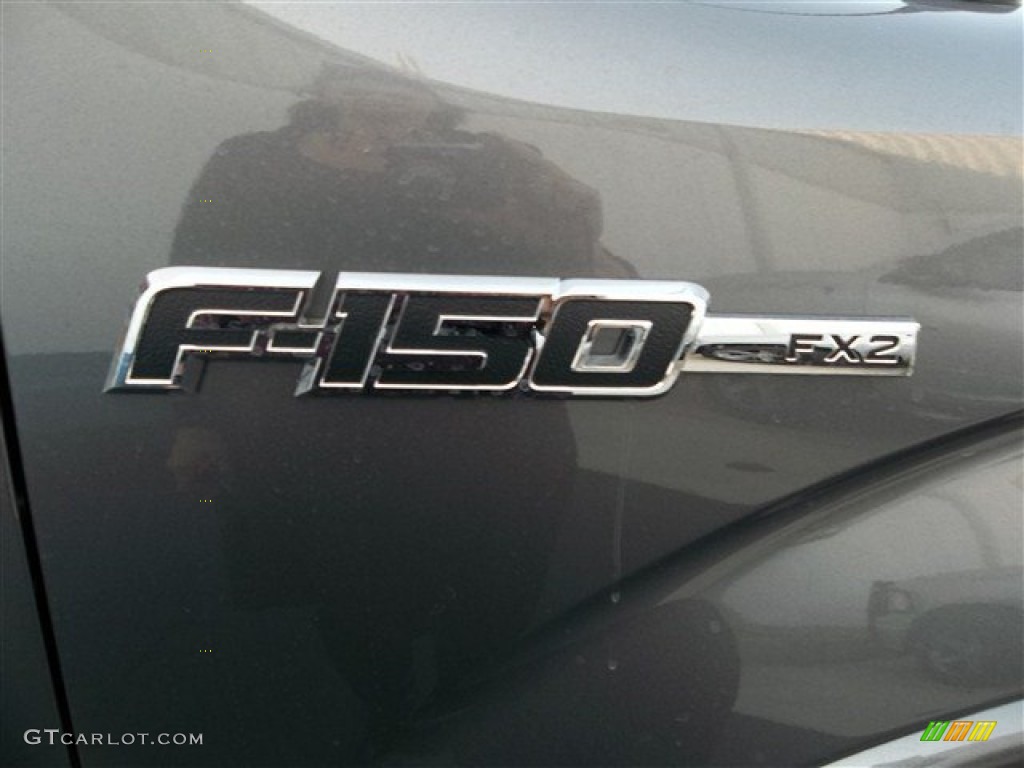 2013 F150 FX2 SuperCrew - Sterling Gray Metallic / Black photo #11