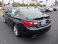 2013 Pacific Blue Pearl Hyundai Sonata SE  photo #5