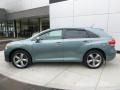 Aloe Green Metallic - Venza V6 Photo No. 2