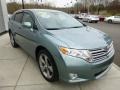 Aloe Green Metallic - Venza V6 Photo No. 7