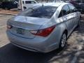 Radiant Silver - Sonata GLS Photo No. 4