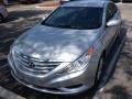 Radiant Silver - Sonata GLS Photo No. 6
