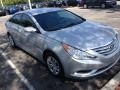 Radiant Silver - Sonata GLS Photo No. 10