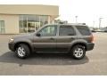 Dark Shadow Grey Metallic - Escape XLT V6 4WD Photo No. 9