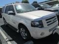 White Sand Tri Coat 2008 Ford Expedition Limited