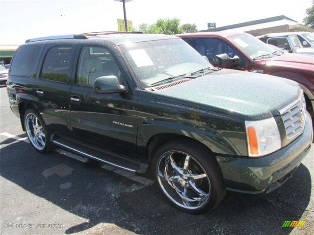 2002 Escalade AWD - Green Envy / Pewter photo #1