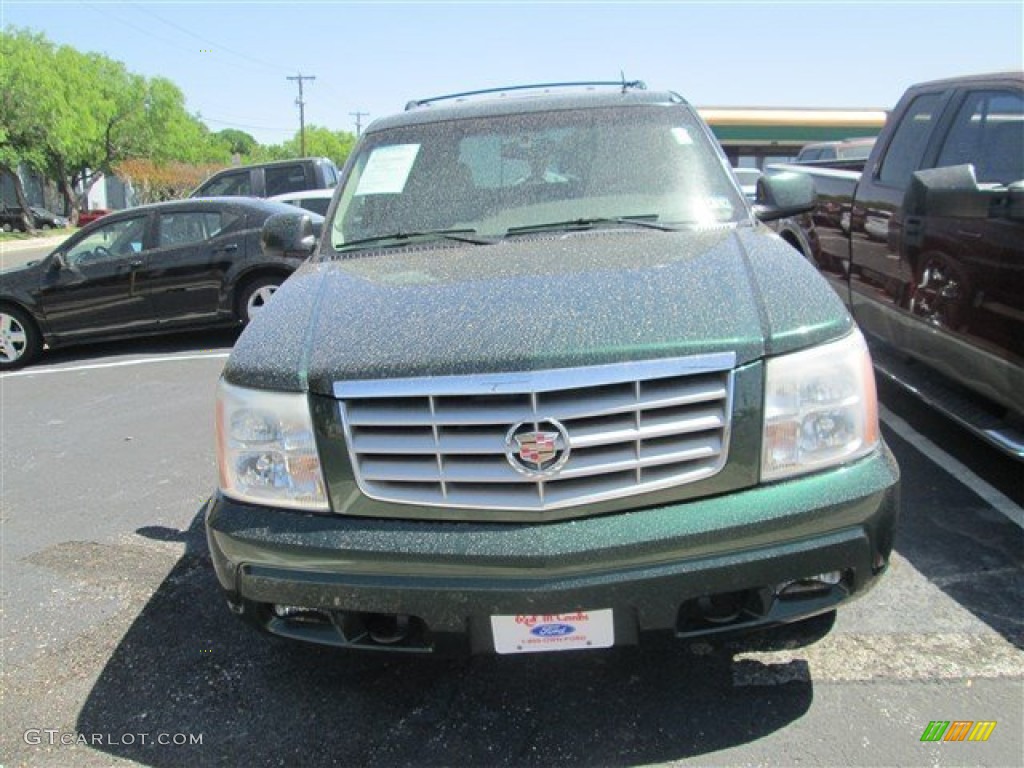 2002 Escalade AWD - Green Envy / Pewter photo #2