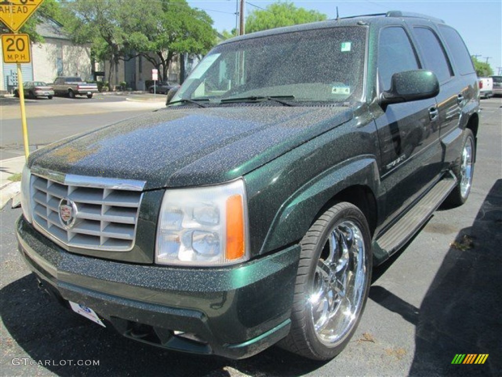 2002 Escalade AWD - Green Envy / Pewter photo #3