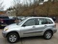 Titanium Metallic - RAV4 4WD Photo No. 2