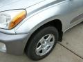 Titanium Metallic - RAV4 4WD Photo No. 8