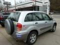 Titanium Metallic - RAV4 4WD Photo No. 13