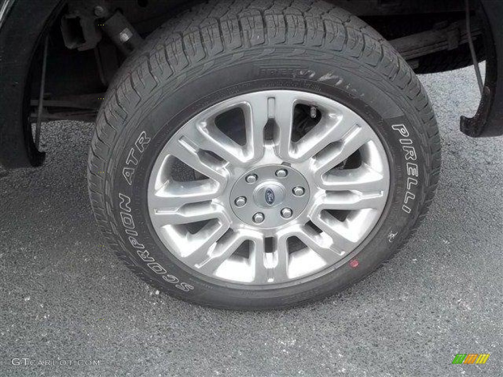 2009 Ford F150 Platinum SuperCrew 4x4 Wheel Photos