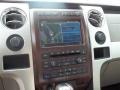Medium Stone Leather/Sienna Brown Controls Photo for 2009 Ford F150 #79695904
