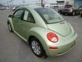 Gecko Green Metallic - New Beetle 2.5 Coupe Photo No. 9