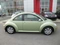 Gecko Green Metallic - New Beetle 2.5 Coupe Photo No. 12