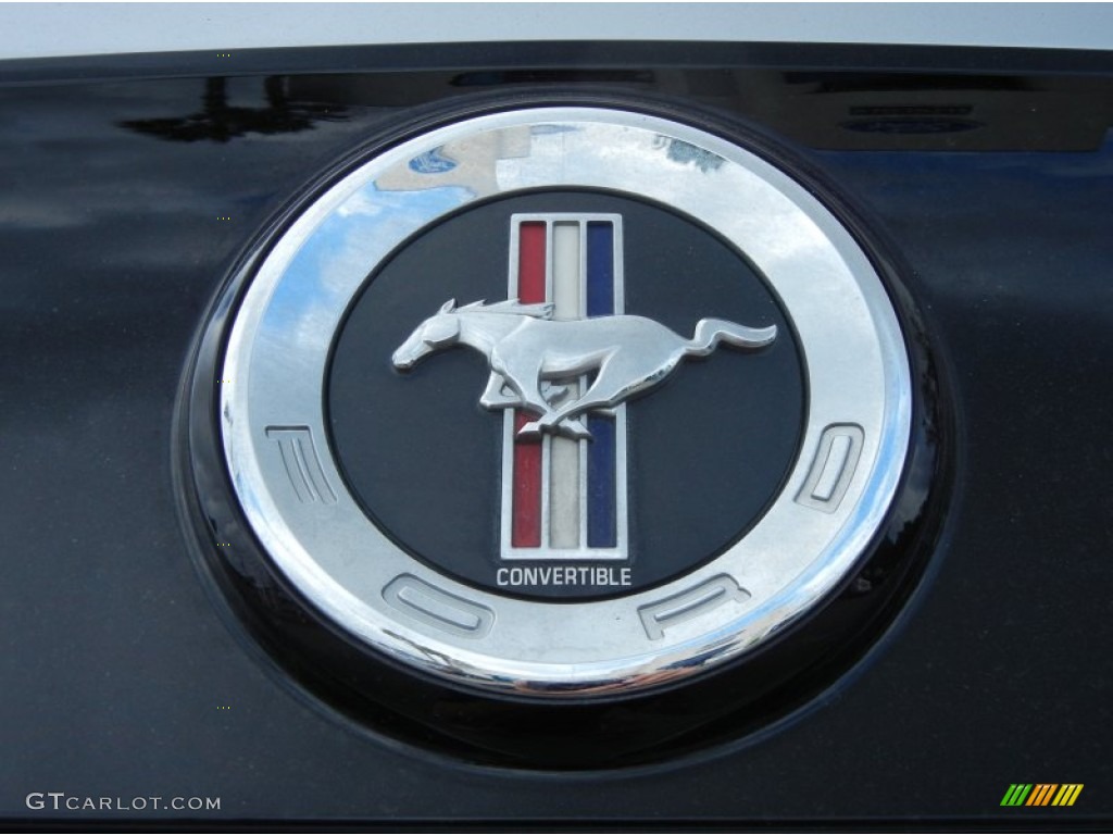 2013 Mustang V6 Premium Convertible - Ingot Silver Metallic / Stone photo #14