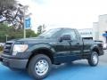 2013 Green Gem Metallic Ford F150 XL Regular Cab  photo #1