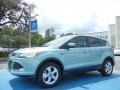 2013 Frosted Glass Metallic Ford Escape SE 1.6L EcoBoost  photo #1