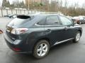 2010 Smokey Granite Mica Lexus RX 350 AWD  photo #3