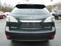 2010 Smokey Granite Mica Lexus RX 350 AWD  photo #10