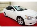 Winter Frost White - Maxima 3.5 SV Photo No. 1