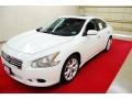 Winter Frost White - Maxima 3.5 SV Photo No. 3